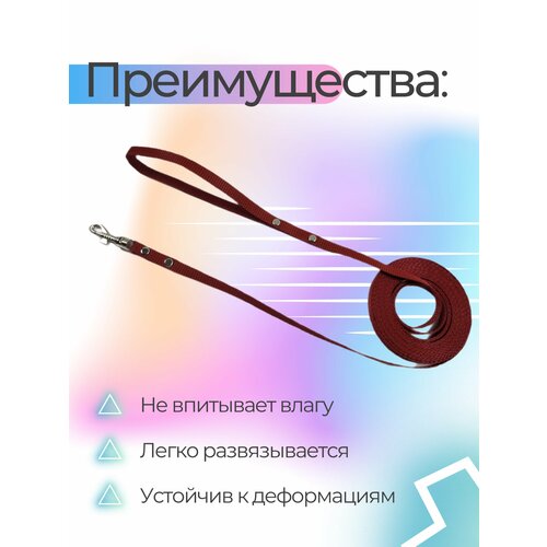 Поводок Хвостатыч для собак нейлоновый классический 1,5 м х 10 мм (коралловый) фото, описание