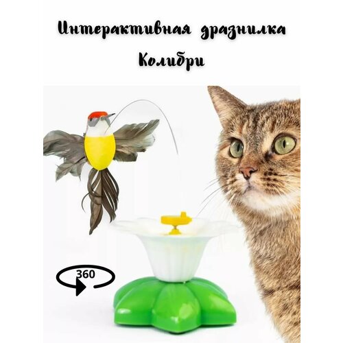 Игрушка дразнилка для кошек фото, описание