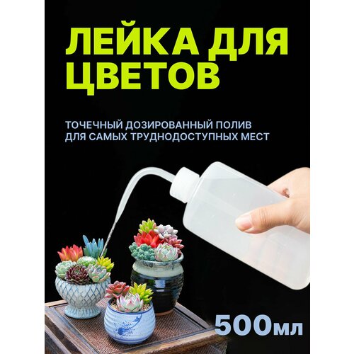 Лейка для цветов и комнатных растений, лейка для суккулентов и кактусов с длинным носиком, 500мл фото, описание