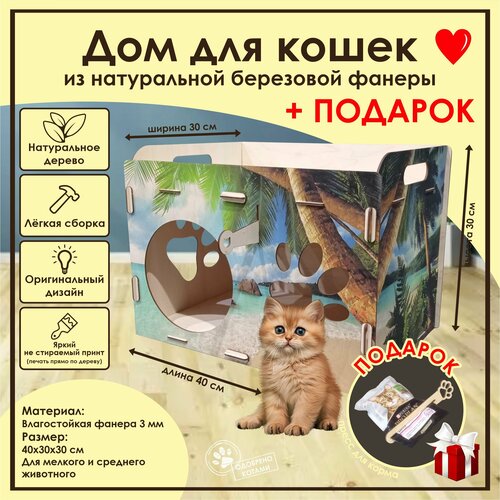 Домик для кошек Мини / Деревянный домик для кота / Лежак для кошек / Лежанка для кошки из фанеры / Домик для животных из дерева фото, описание