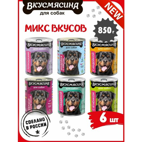 Корм влажный для собак, вкусмясина микс 31 из 6 вкусов, 6 шт. х 850 г фото, описание