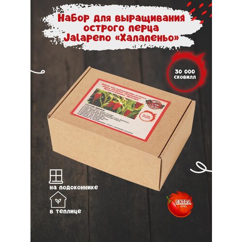 Набор для выращивания острого перца Халапеньо в домашних условиях, мини парник для рассады фото, описание