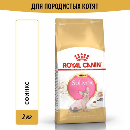 Корм для кошек Royal Canin Sphynx Kitten (Сфинкс Киттен) Корм сухой сбалансированный для котят породы Сфинкс, 2 кг фото, описание