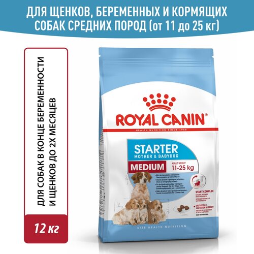 Корм для щенков Royal Canin Medium Starter (Медиум Стартер) средних размеров до 2-х месяцев, беременных и кормящих сук, 12 кг фото, описание