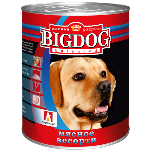 Влажный корм для собак Зоогурман Big Dog, мясное ассорти 1 уп. х 1 шт. х 850 г (для средних и крупных пород) фото, описание