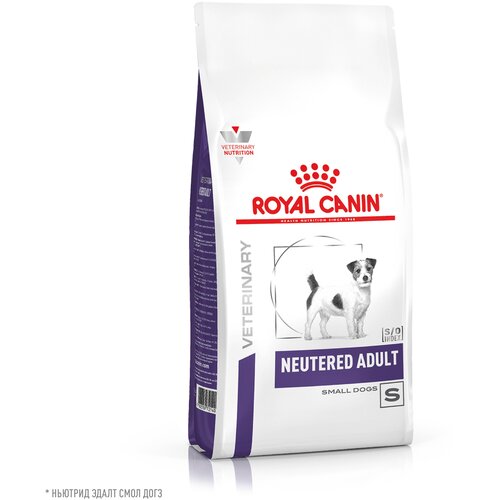 Royal Canin Neutered Adult Small Dog Корм сухой для взрослых стерилизованных/кастрированных собак мелких пород, 3,5 кг. фото, описание