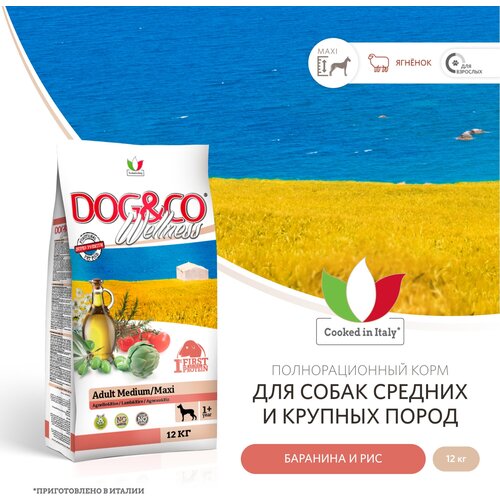 Wellness Dog&Co Adult Medium/Maxi корм для собак средних и крупных пород Баранина и рис, 12 кг. фото, описание