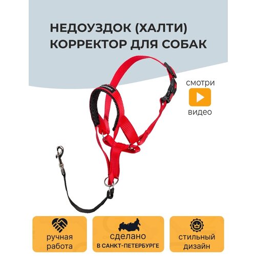 Недоуздок (Халти) №3 корректор для собак CHOKERZ. Обхват морды 20-30 см, шеи - 40-50 см фото, описание