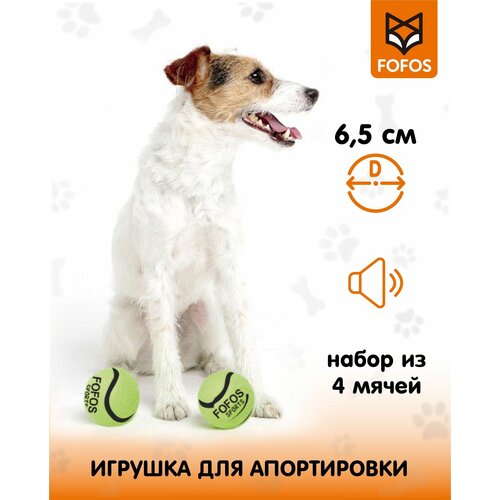 Теннисные мячики 2 шт / Игрушка для собак с пищалкой FOFOS Sports Fetch Ball 2pk фото, описание