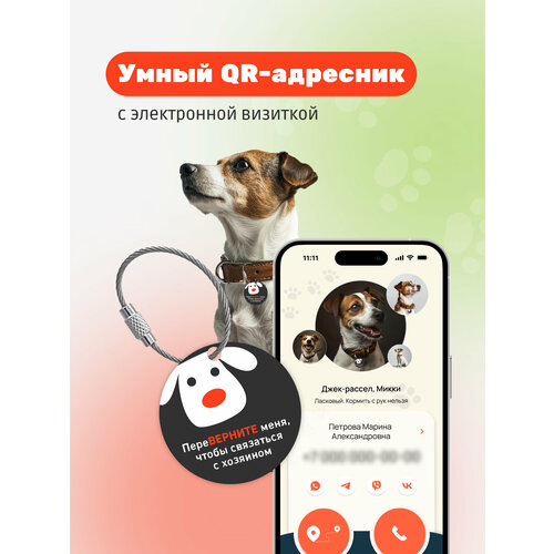 Умный адресник-медальон на ошейник для собаки с QR-кодом, контактами владельца и мобильным приложением хозяина фото, описание