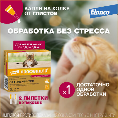 Профендер® (Elanco)  капли на холку от гельминтов для кошек от 5 до 8 кг - 2 пипетки фото, описание