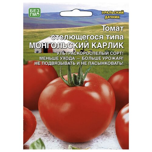 Семена Уральский дачник Томат Монгольский карлик стелющегося типа, 20 шт. фото, описание