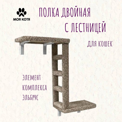 Полка двойная с лестницей для кошек Моя Котя бежевая фото, описание