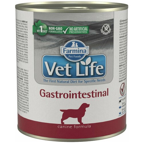 Влажный корм 6 шт по 300 г Vet Life Dog Gastrointestinal для собак фото, описание