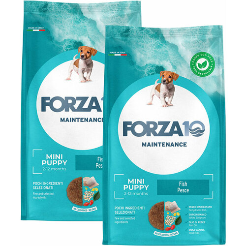 FORZA10 DOG MAINTENANCE PUPPY JUNIOR SMALL/MEDIUM для щенков маленьких и средних пород с рыбой (2 + 2 кг) фото, описание