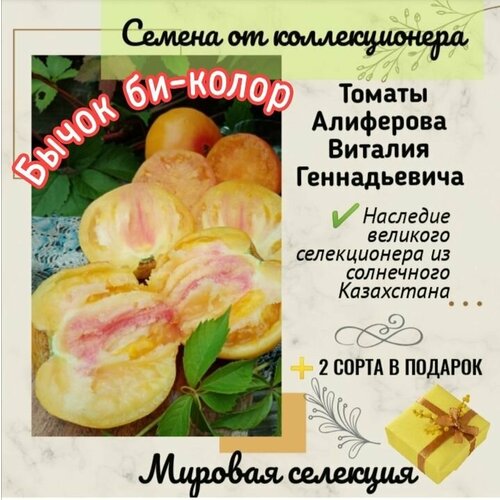 Томаты Виталия Алиферова, сорт 