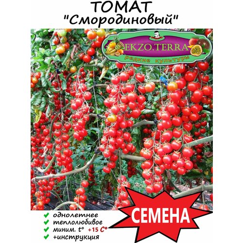 фото Семена Томат Смородиновый 15 шт., купить онлайн за 1065 рубл.