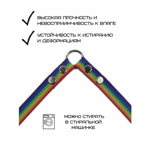Сворка Хвостатыч для двук собак нейлон 40 х 25 мм (радуга) фото, описание