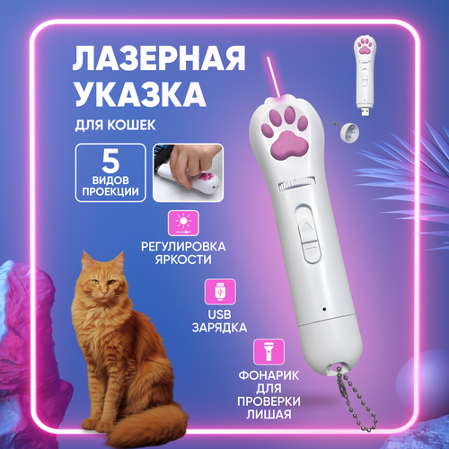 Лазерная указка для кошек / Игрушка для кошек / Лазер дразнилка с usb фото, описание