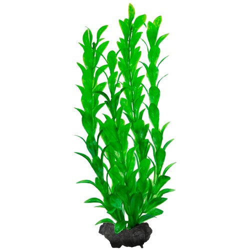 Искусственное растение  Tetra Hygrophila M 4 шт. 23 см зеленый фото, описание