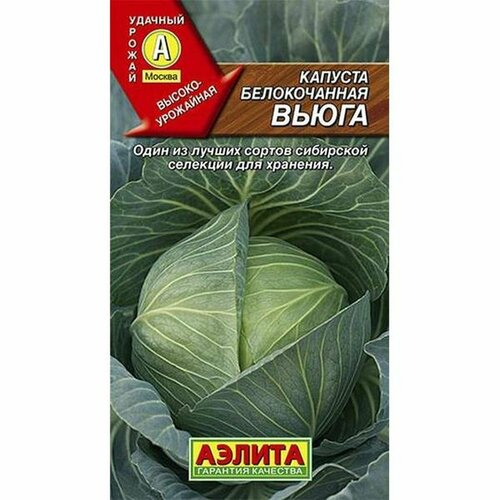 Семена Капуста белокочанная Вьюга П. (Аэлита) 0,3г фото, описание