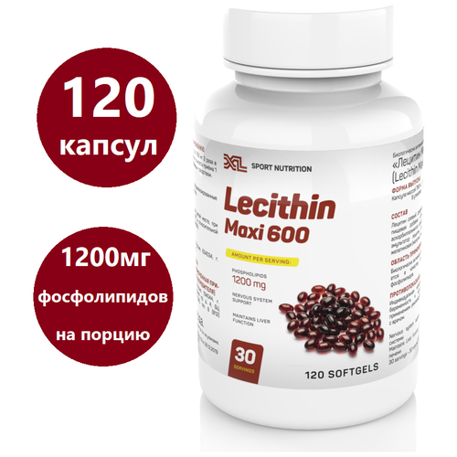 Соевый лецитин XL Lecithin Maxi, 120 капсул, фосфолипиды эссенциальные фото, описание