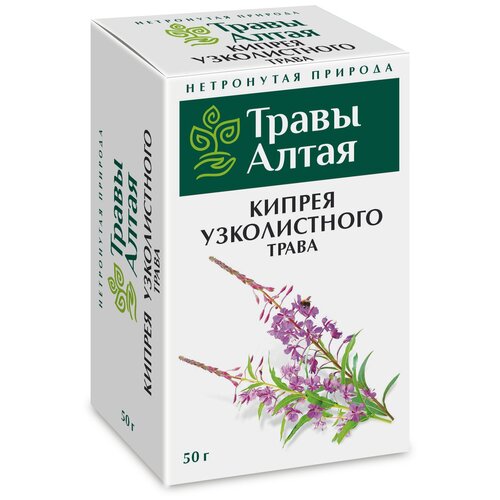 Кипрей узколистный (Иван чай) трава серии Алтай 50 г x1 фото, описание