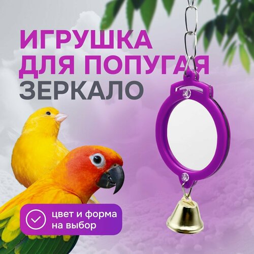 Игрушка для попугаев и птиц - зеркало фото, описание