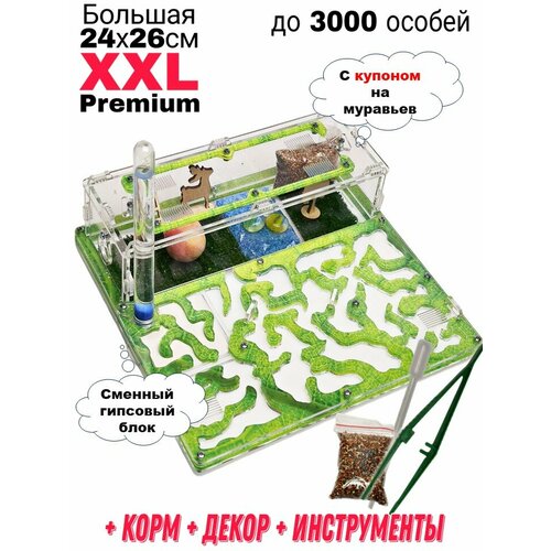 Большая муравьиная ферма XXL Premium 24*26см Полный комплект Салат фото, описание