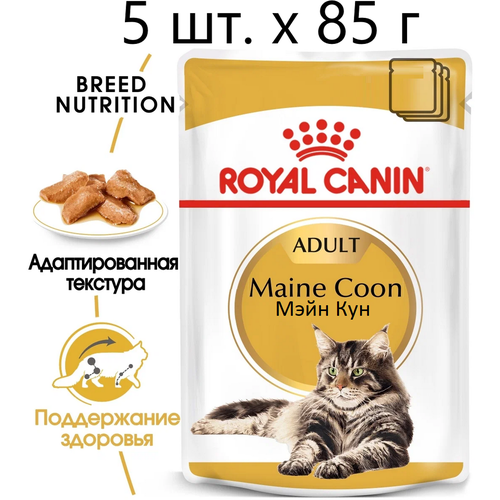 Влажный корм для кошек Royal Canin Maine Coon Adult, для взрослых кошек породы мейн-кун, 5 шт. х 85 г (кусочки в соусе) фото, описание