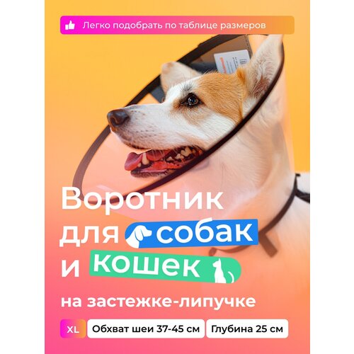 Воротник защитный ветеринарный для собак и кошек № 25 см, на липучке / AniMall фото, описание