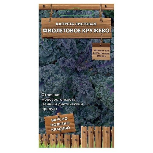 Семена Капуста листовая Фиолетовое кружево 0,1 гр. фото, описание