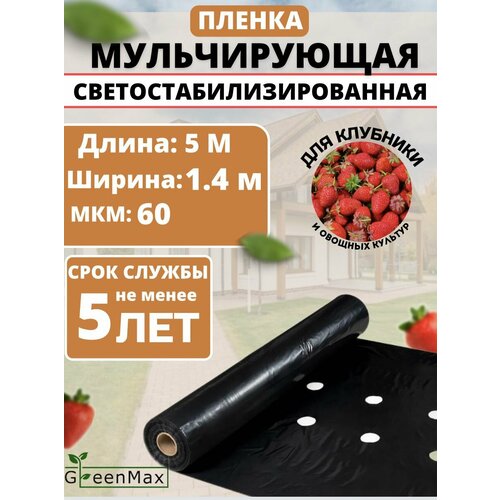 Пленка мульчирующая для клубники фото, описание