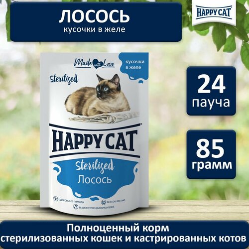 Корм влажный для стерилизованных кошек Хэппи Кэт (Happy Cat) Лосось кусочки в желе, пауч (24шт*85гр) фото, описание