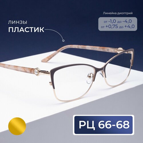 Очки для зрения-дали РЦ 66-68 (-2.00) Glodiatr 2032 C3, цвет серо-бежевый, без футляра, РЦ 66-68 фото, описание