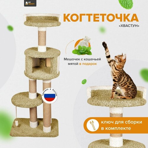 Комплекс для кошек с домиком и игрушкой, когтеточка с лежанкой высокая 