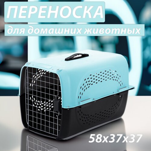 Клиппер-переноска для животных Чистый котик HP-A02 37х37х58 см 58 см 37 см 37 см голубой фото, описание