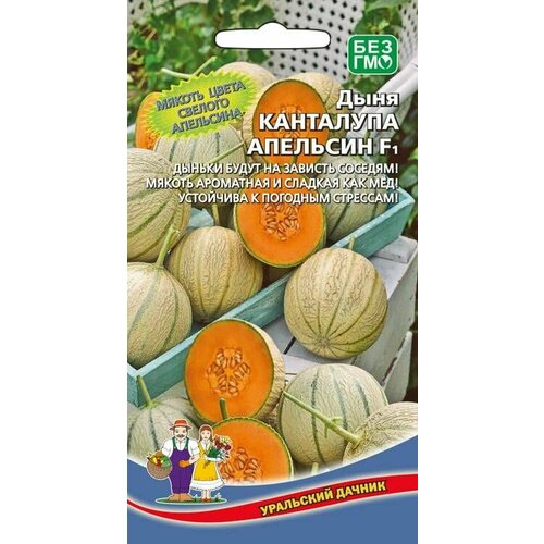 Дыня канталупа апельсин F1, 1 пакет, семена 6шт, Уральский Дачник фото, описание