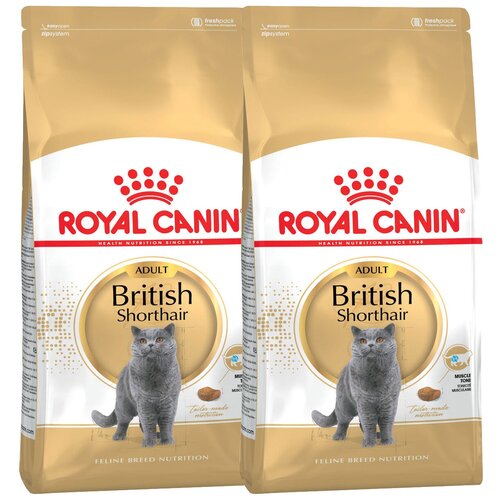 Сухой корм для кошек Royal Canin для британских короткошерстных 2 уп. х 2 шт. х 10000 г фото, описание