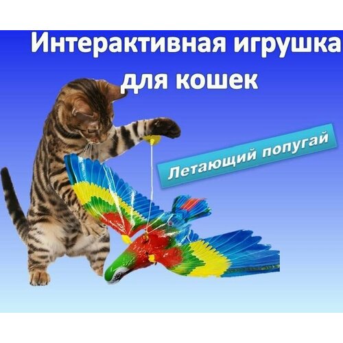 Интерактивная игрушка для кошек, подвесная птица фото, описание