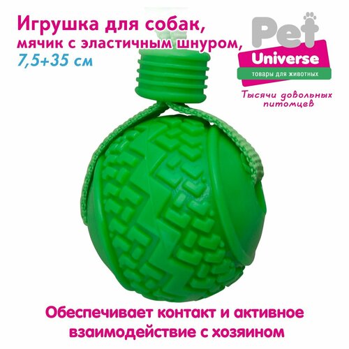 Игрушка для собак Pet Universe мячик с эластичным шнуром шнуром 35х7,5 см, ТПР+полиэстер, 110 гр, зелёный PU3055GN фото, описание