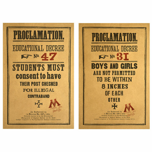 Набор из двух постеров №14 для вечеринки в стиле Гарри Поттер или тематической фотосессии фото, описание