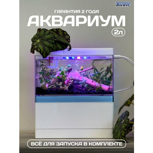 Мини-аквариум JINGYE с фильтром и подсветкой, 2 литра, белый, прямоугольный, 22х18х10 фото, описание