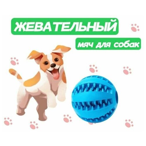 Жевательная игрушка мяч для собак и кошек, шарик для чистки зубов 5см фото, описание