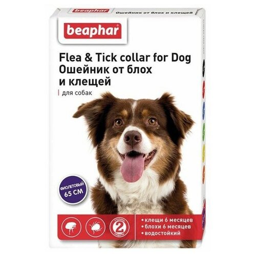 Beaphar ошейник от блох и клещей Flea & Tick. для собак и кошек, 65 см, фиолетовый 1 уп. фото, описание