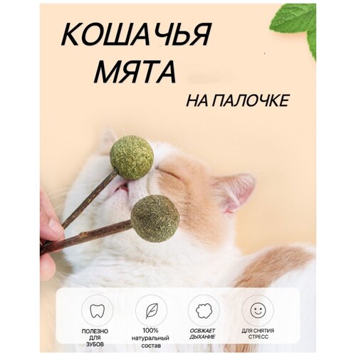 Игрушка для кошек из натуральной кошачьей мяты шарик/Мятный мячик/Шар из кошачьей мяты фото, описание