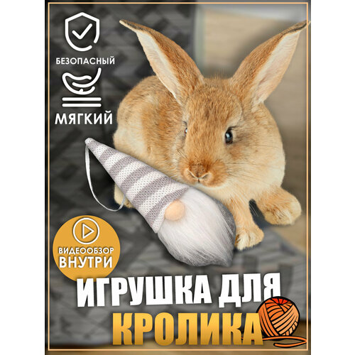 Игрушка для кролика, гномики, игрушки для грызунов, игрушки для животных фото, описание