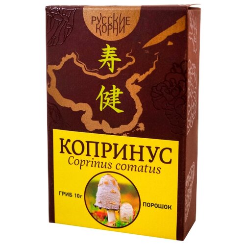 Русские корни экстракт гриба Копринус, 10 г, грибы фото, описание