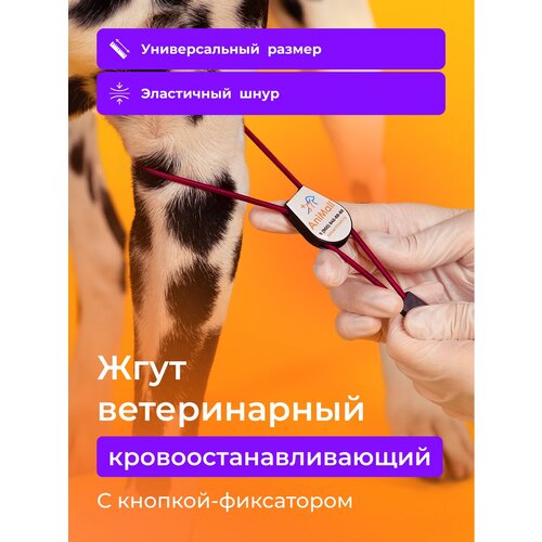 Жгут ветеринарный кровоостанавливающий с фиксатором AniMall / Бордовый фото, описание