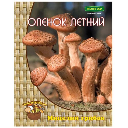 Мицелий грибов ПОИСК Опенок Летний на древесном носителе 12 шт. фото, описание